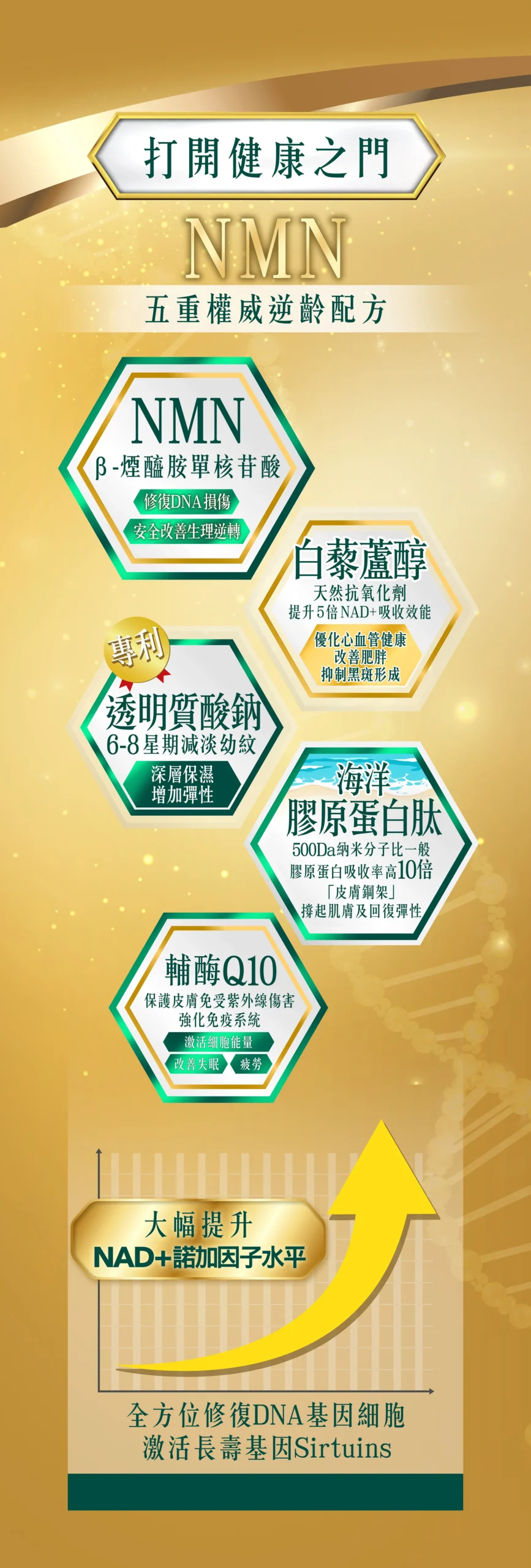 日本NeoYouth美康萊 NMN15,000mg +12,000Ex五重逆齡配方(最佳食用期2026年3月2日) - Image 7